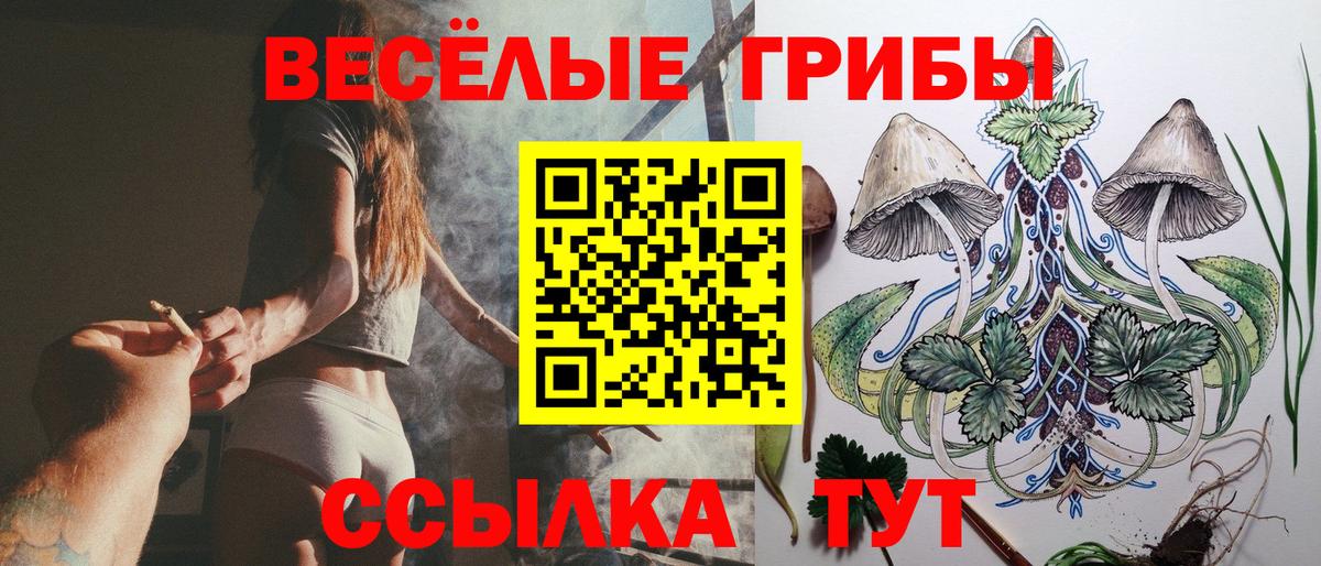 Сегежа  Галлюциногенные грибы Psilocybine cubensis  Галлюциногенные грибы Magic Shrooms  Вход с VPN 